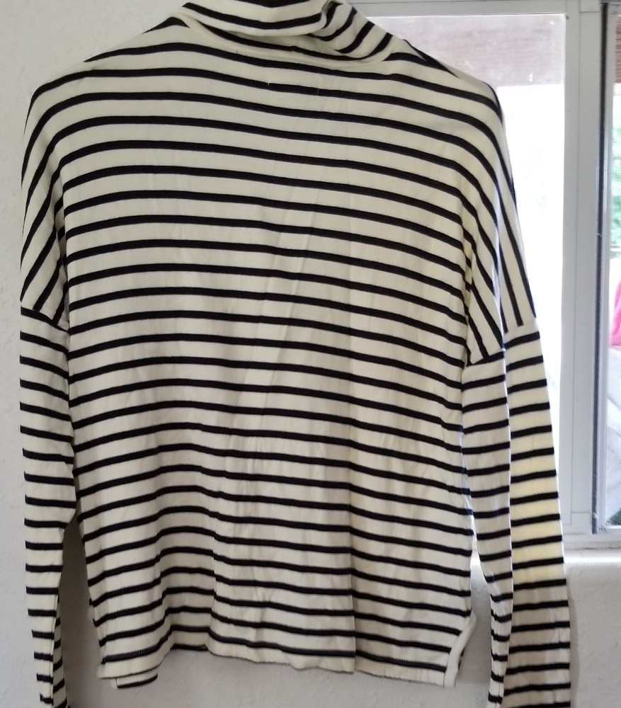 Madewell blue and white  striped turtleneck shir